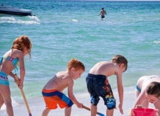 SoWal Life Releases Summer Program Guide