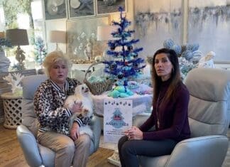 Risa’s Interiors Angel Tree Supports Caring and Sharing this Christmas 11620