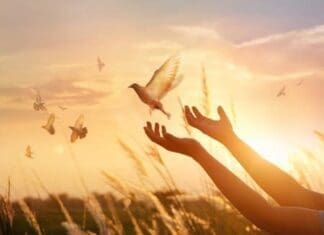 What Ever Happened To: Forgiveness? Forgiveness