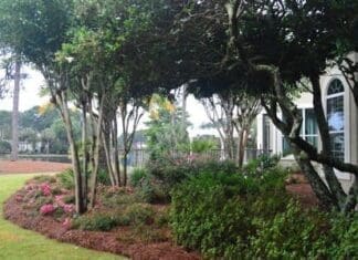 American Pride Landscape Award Winners Announced by the Green Thumb Garden Club Gtgc Picture One
