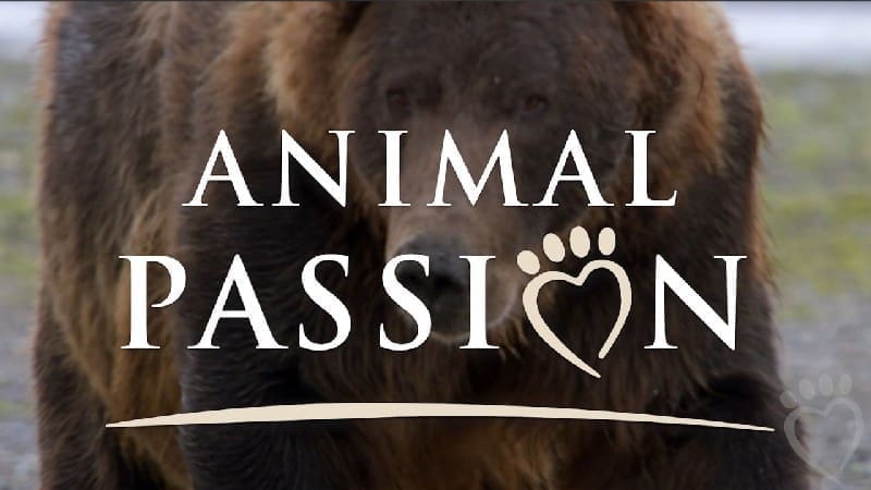 #3 Animal Passion Logo Alt