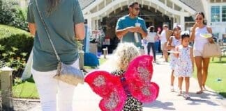 Flutterby