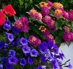 Green Thumb Garden Club: Spring Floral Design Workshop Slated for April 19 Spring Floral Design