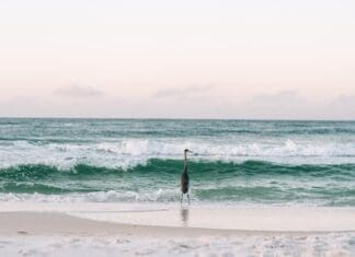 Walton County Talks About Advancing Resilience Efforts Sowal April 2024