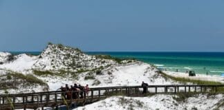 Swfd Beach Shark Rescue
