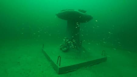 Sunken Spores By Artist Ashley Rivers, Photo Credit To Spring Run Media.
