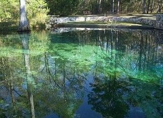 Did Ponce de Leon really find the springs in north Walton? Ponce de Leon Springs