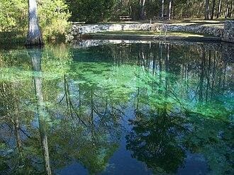 Ponce de Leon Springs