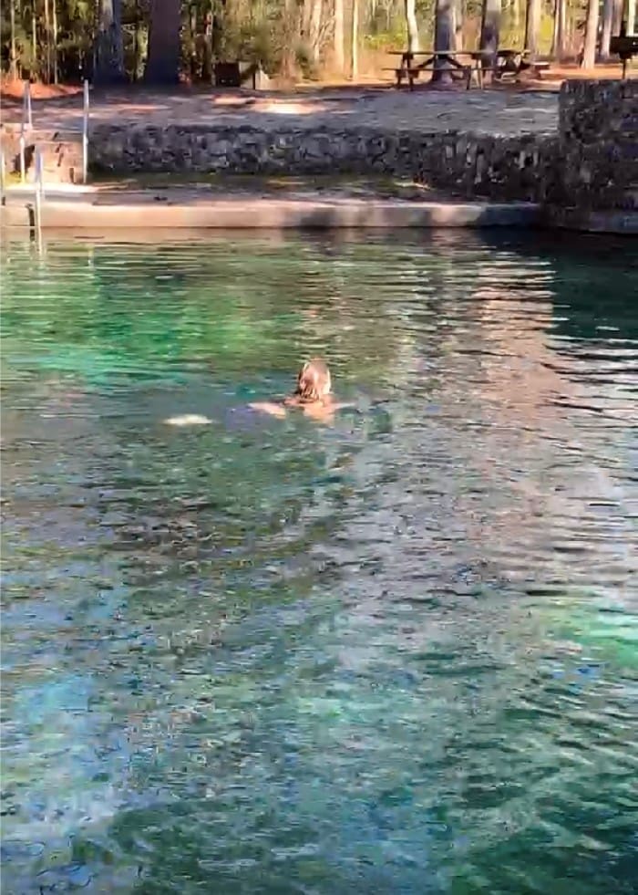 Swimming