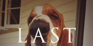 Last Stop
