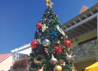 The Mysterious Lure of Travel Travel Christmas Tree Roatan D And J